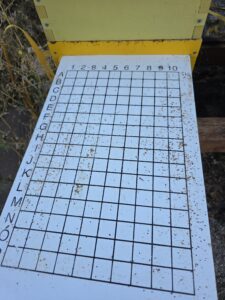 Bottom Board after 2nd OA Treatment
