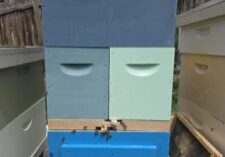 Resource Hive